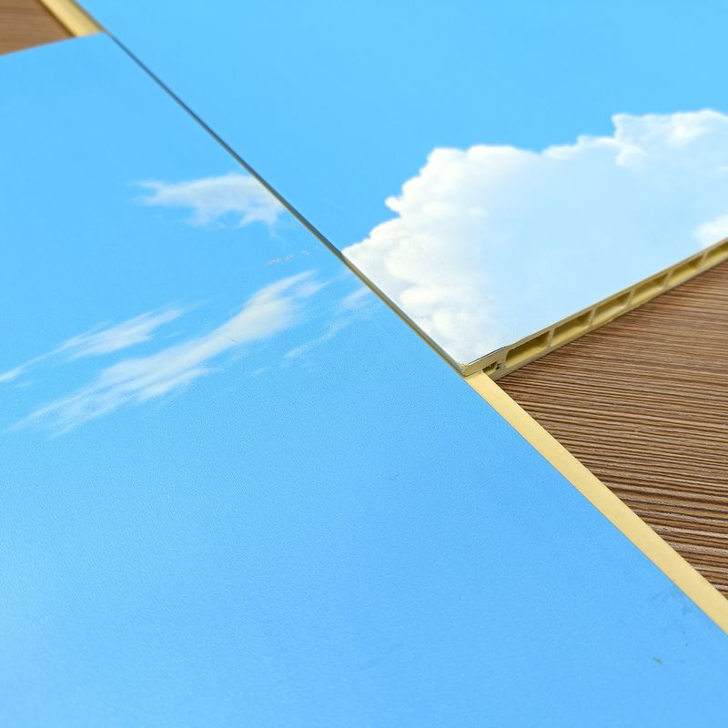 พานผนังตกแต่งจากใยไม้ยาง PVC ขนาด 10 มม สําหรับห้องนั่งเล่น