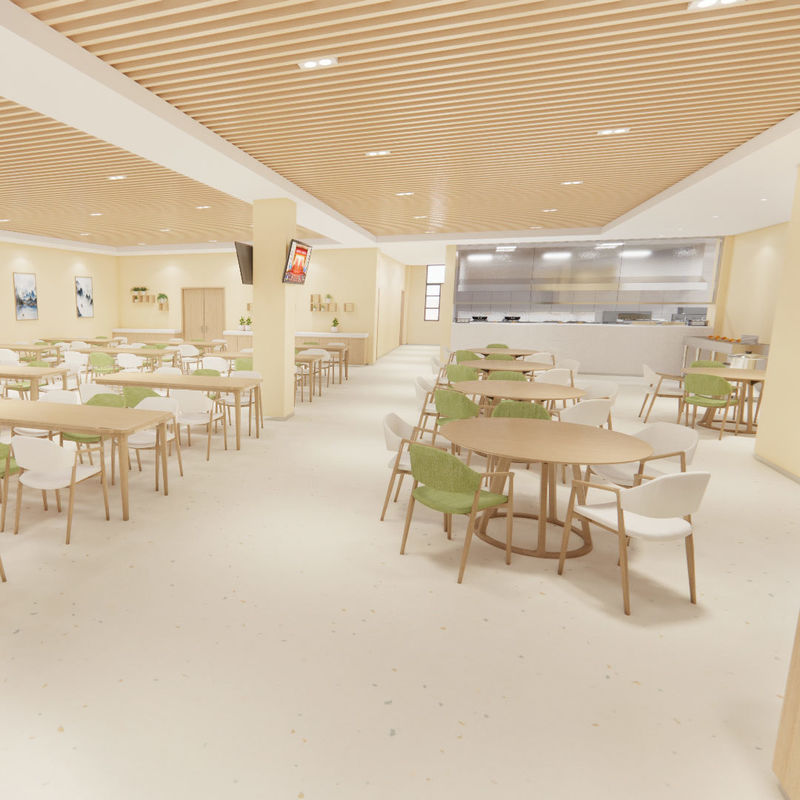 พื้นพิเศษสำหรับการดูแลและฟื้นฟูสำหรับบ้านพักคนชรา - สไตล์ปลอดภัยถูกสุขอนามัยเกรดทางการแพทย์