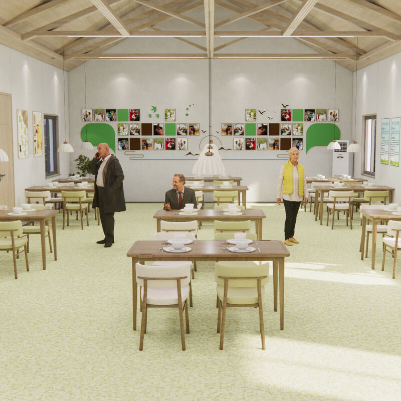 พื้นแบบเดียวกันที่ทนต่อแรงกระแทกที่มีพื้นที่กันรอยขีดข่วน สําหรับห้องผู้ป่วยในบ้านผู้สูงอายุ